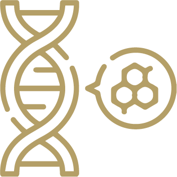 Medical Genetic